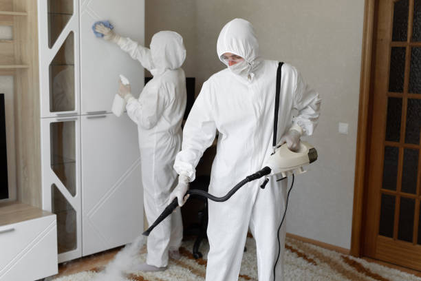 DIY Mold Remediation